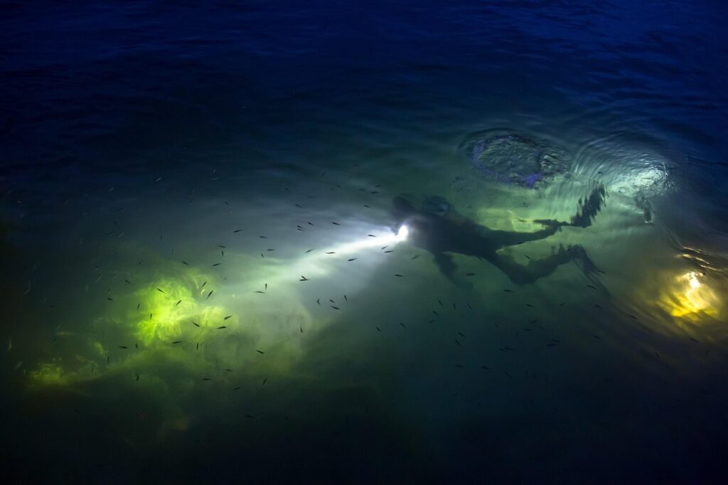 dive, diver, night diving, rhine, river diving, diver, diver, night diving, night diving, night diving, night diving, night diving